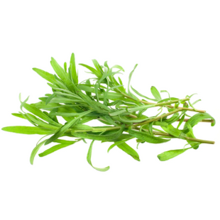 Tarragon (200/pack)