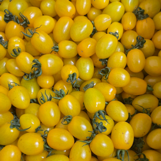 Tomato Cherry Yellow (250g/pack)