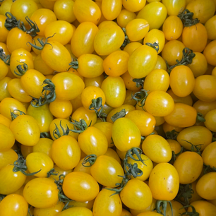Tomato Cherry Yellow (250g/pack)