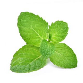 Spearmint (200g/pack)
