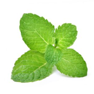 Spearmint (200g/pack)