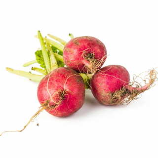Radish Red (250g/pack)