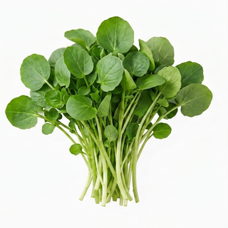 Watercress (500g/pack)