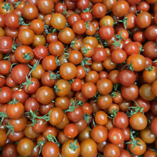 Tomato Cherry Red (250g/pack)