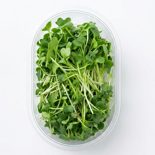 Broccoli Sprouts (pack)