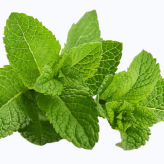 Peppermint (200g/pack)