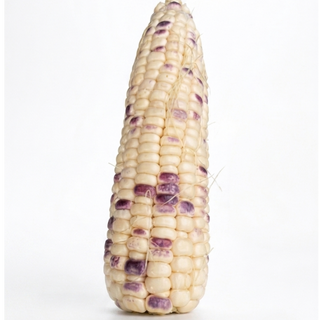Batik Corn (1kg/pack)