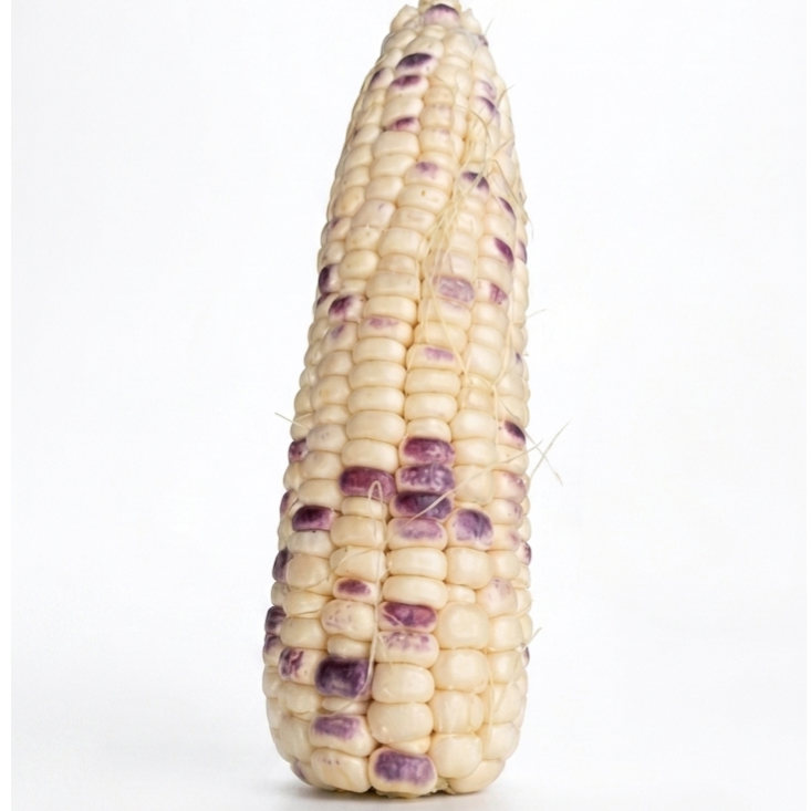 Batik Corn (1kg/pack)