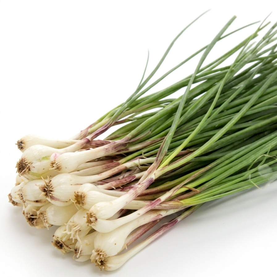 Onion, Rakkyo Japanese - cut leaves (250g/pack)