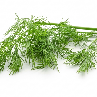 Dill (100g/pack)