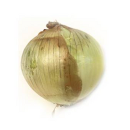 Onion White Local (250g/pack)