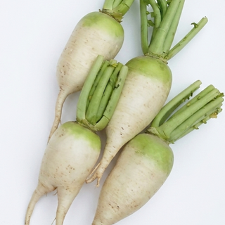 Radish Korean Small (250g/pack)