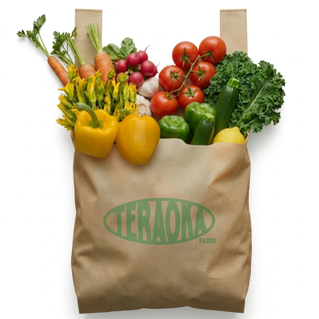 Teraoka Eco-bag