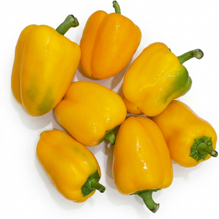 Capsicum Yellow (250g/pack)