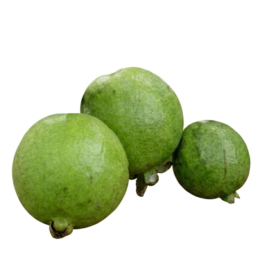 Guava Fruit (500g/pack)