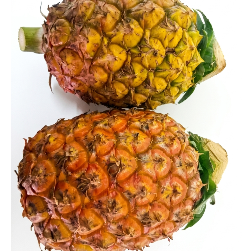 Pineapple Ripe (Weighed per piece)