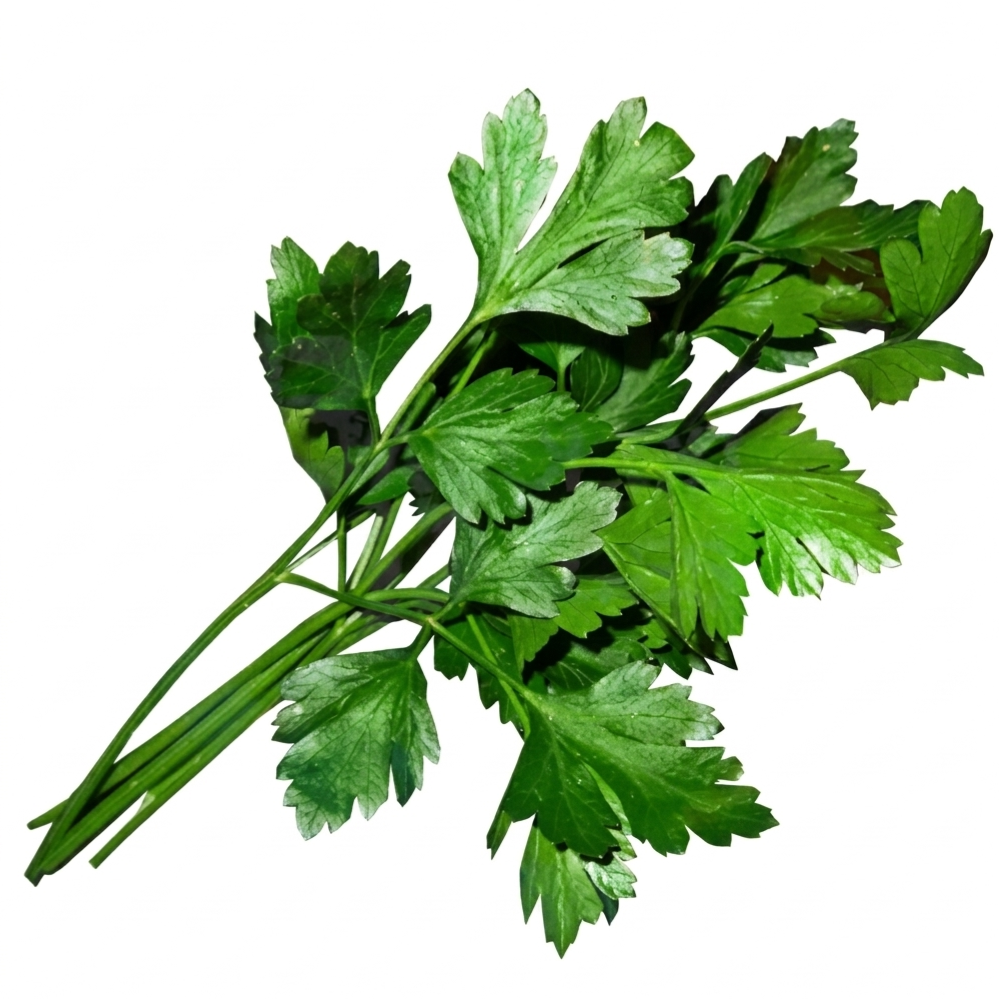 Parsley Flat (200g/pack)