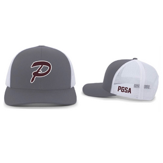 PGSA Grey Baseball Hat
Snapback