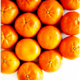 Lukan Oranges (Seasonal Price)