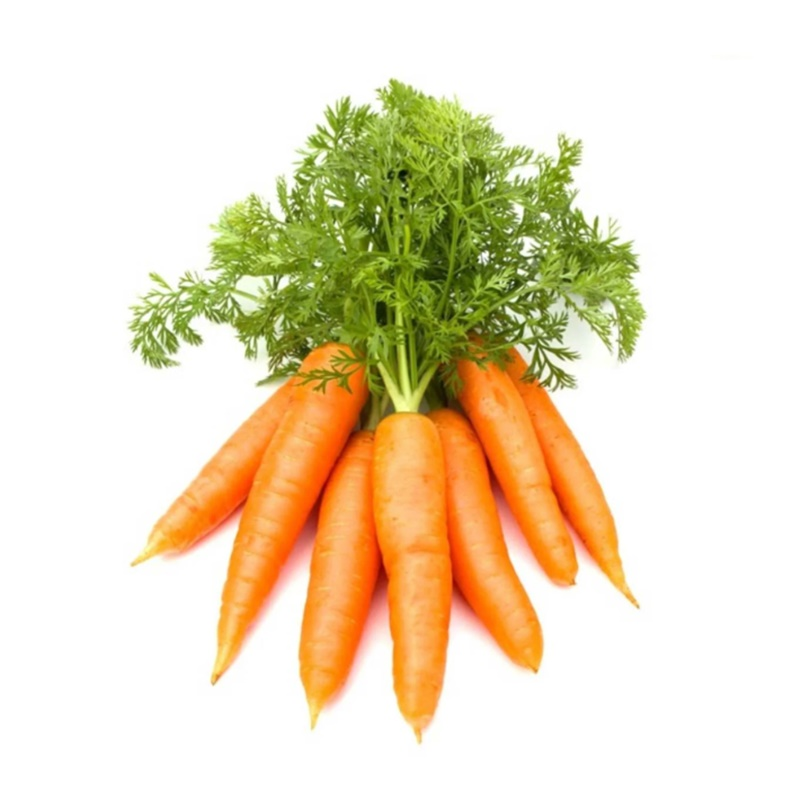 Carrot Large Image