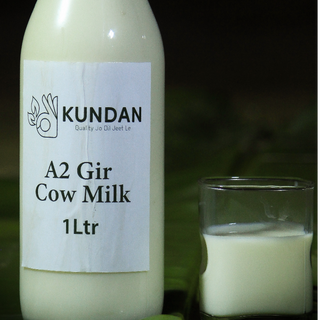 A2 gir cow milk