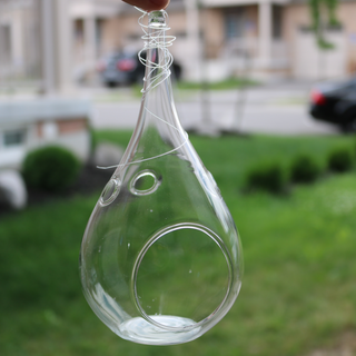 Hanging Bulbs