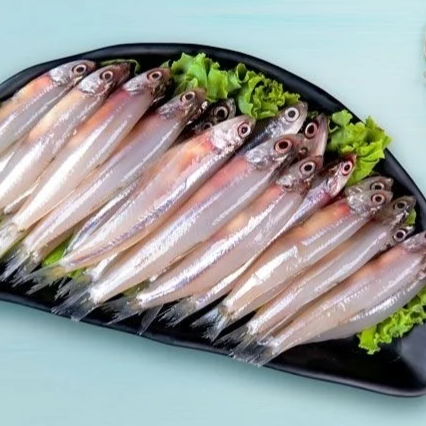 Anchovy (നെത്തോലി)
