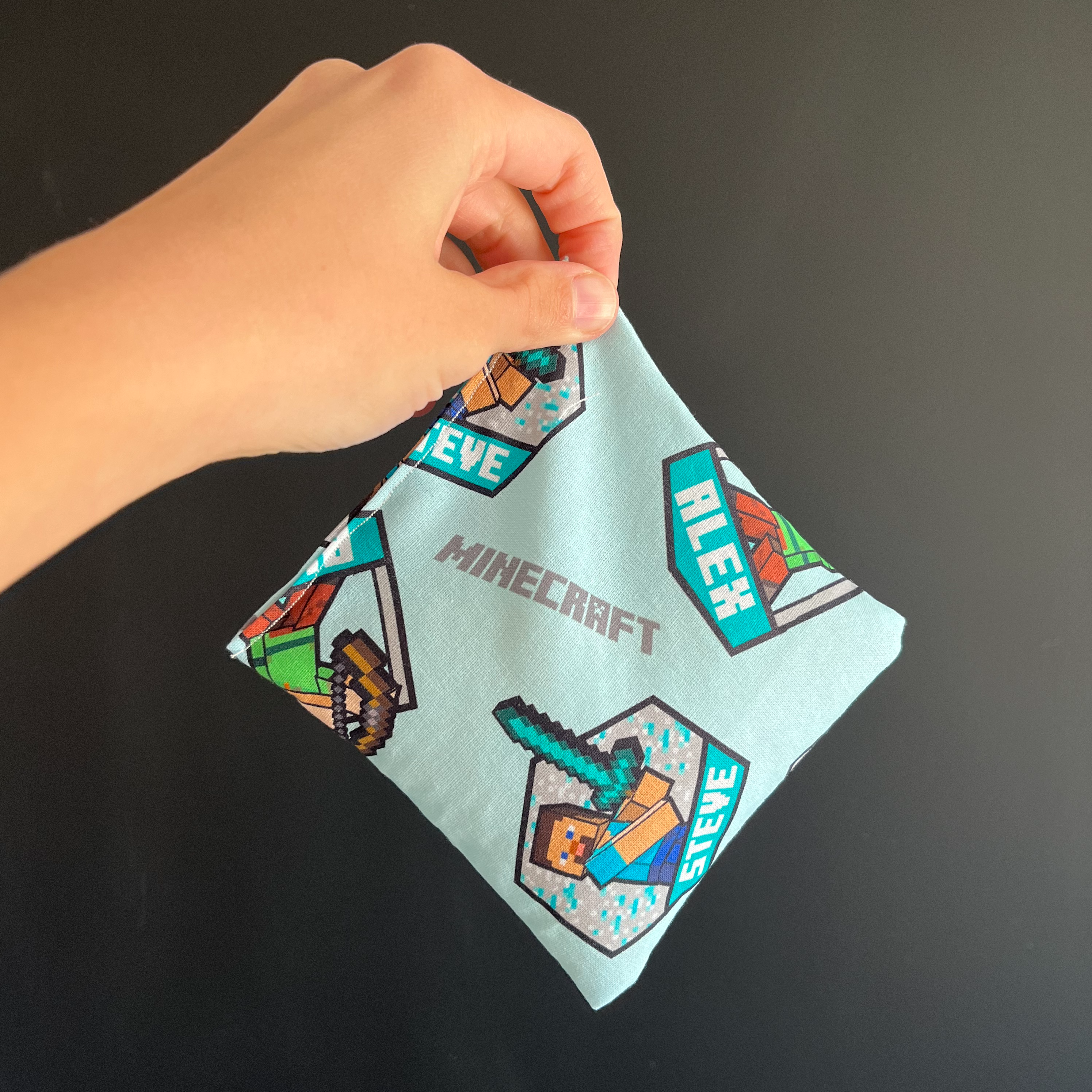 Minecraft Boo-Boo Bag