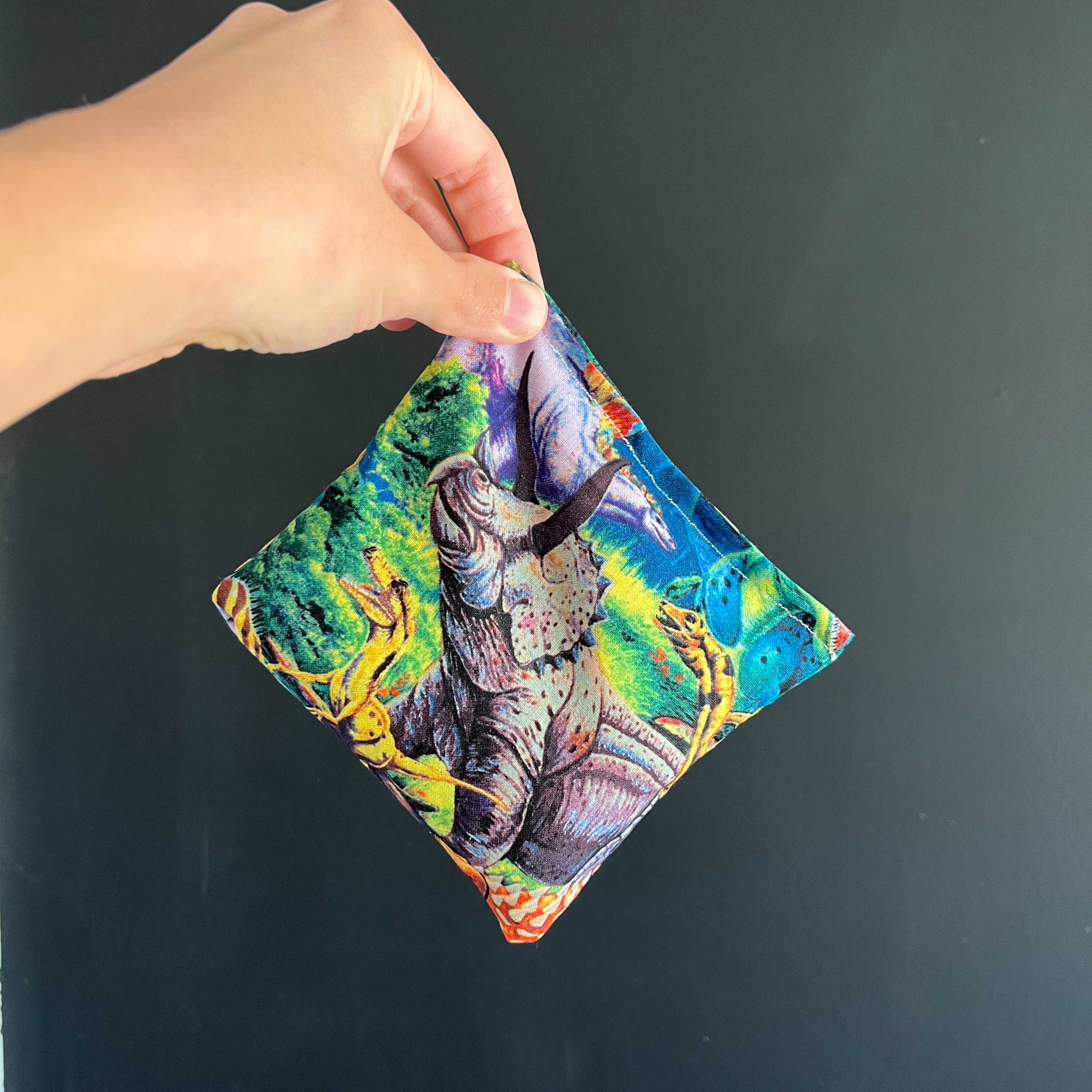 Dinosaur Boo-Boo Bag