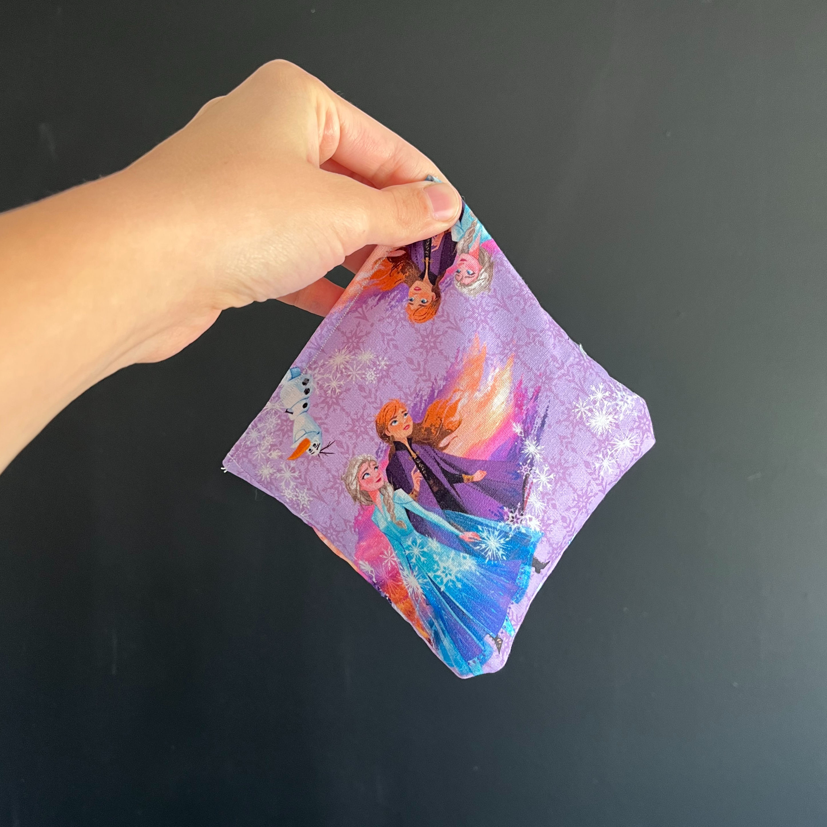 Frozen Boo-Boo Bag