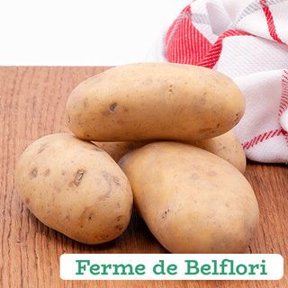 Pommes de terre Erika