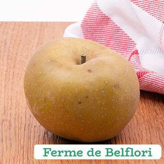 Pommes Boscop