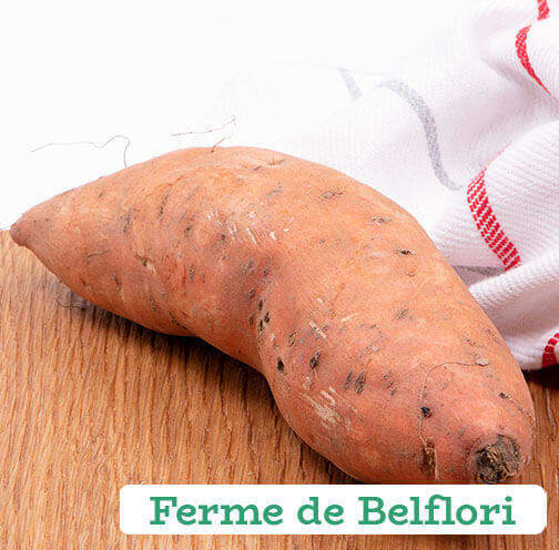 Patate douce Main Image