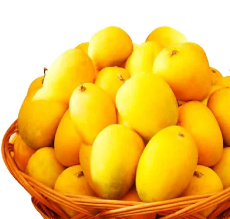 Alphonso Mangoes