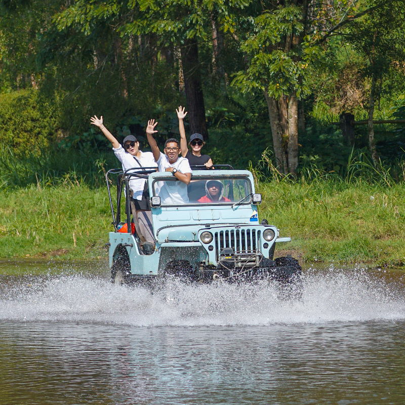 SAFARI FUN OFFROAD Main Image