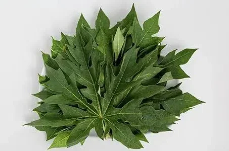 Daun Pepaya