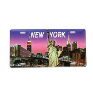 License plate Magnet Small 376760