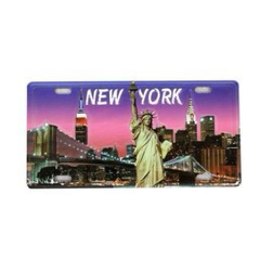 License plate Magnet Small 376760