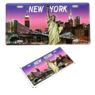 Skyline License plate 376766