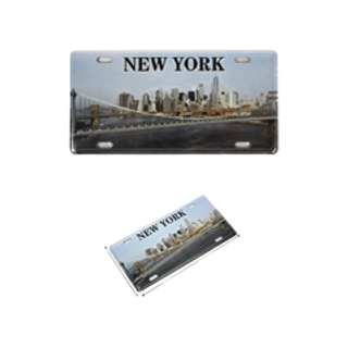 License plate Magnet Small 376761
