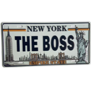THE BOSS LP10