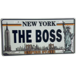 THE BOSS LP10