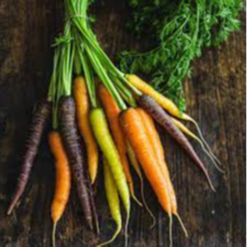 Assorted Baby Carrots Main Image