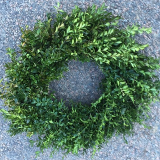 36 inch Boxwood Wreath