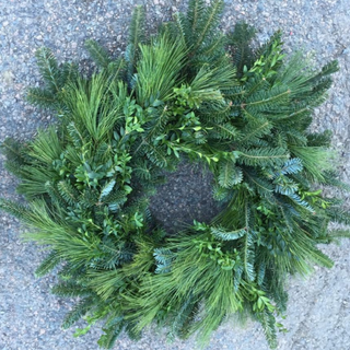 32 inch Fraser Fir/White Pine/Boxwood Mix Wreath