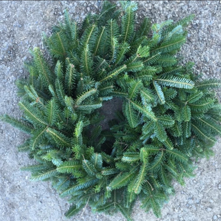 20 inch Fraser Fir Wreath