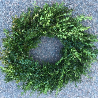 32 inch Boxwood Wreath