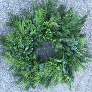 24 inch Fraser Fir/White Pine/Boxwood Mix Wreath