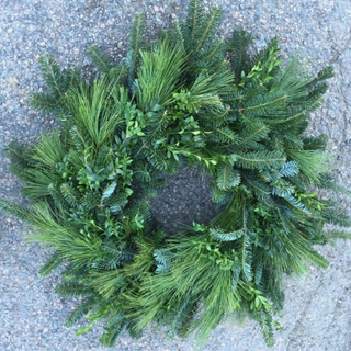 20 inch Fraser Fir/White Pine/Boxwood Mix Wreath