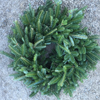 32 inch Fraser Fir Wreath